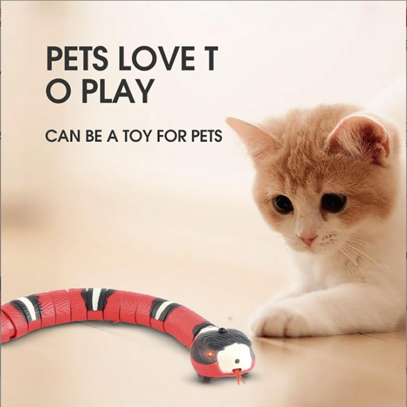 Brinquedos automáticos para gatos